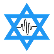 Israel News Pulse