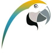 Parrot Nigeria | News Aggregator | Journalist | Storyteller
