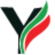 Y News